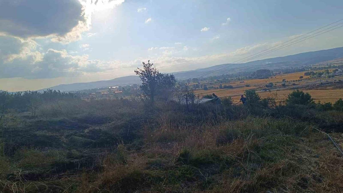 Bolu yangını