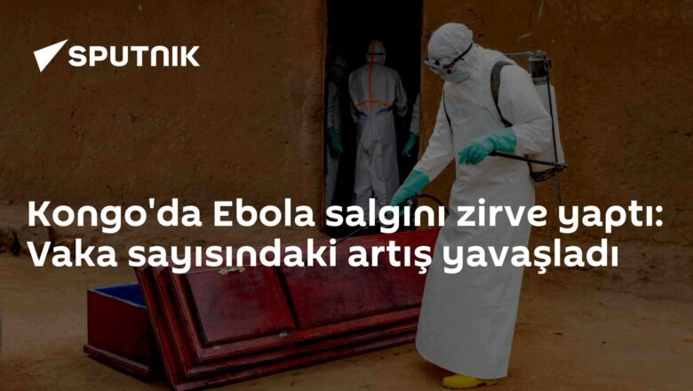 Bundibugyo virüsü